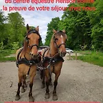 Foret Aupthiesomme Entre Terre Et Brailly-Cornehotte