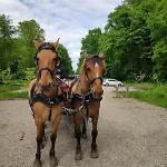 Foret Aupthiesomme Entre Terre Et Сasa de vacaciones