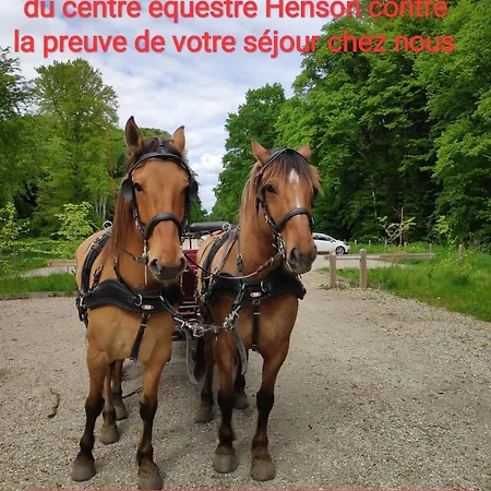 Foret Aupthiesomme Entre Terre Et Brailly-Cornehotte